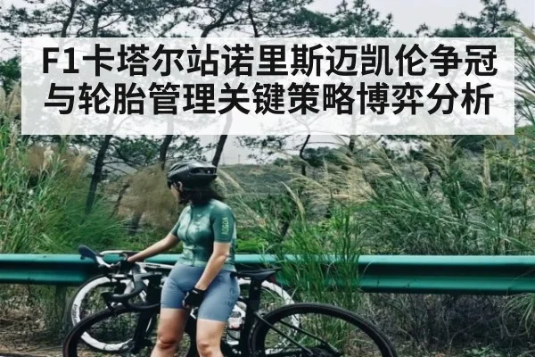 F1卡塔尔站诺里斯迈凯伦争冠与轮胎管理关键策略博弈分析